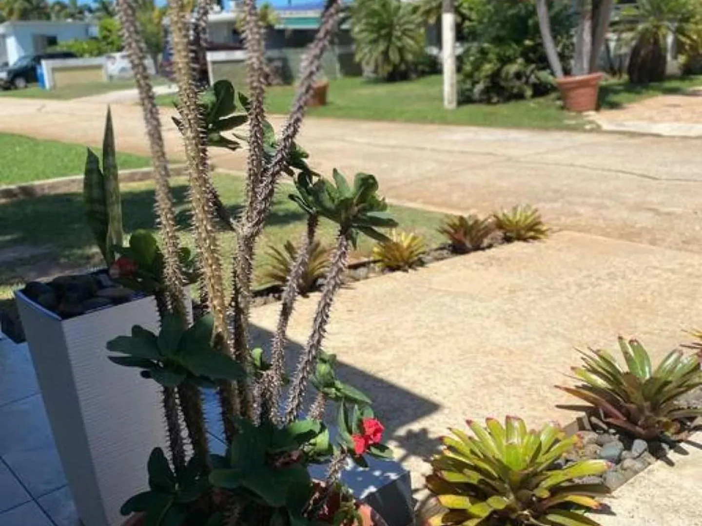 Nyaraló Beachside Near Airport Near Golf Course Aguadilla